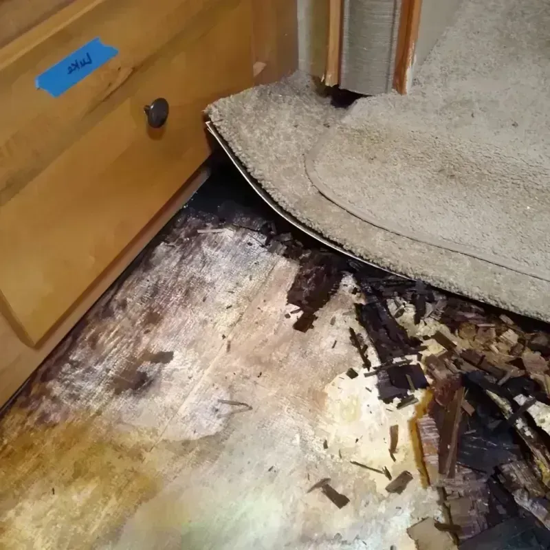 Best Wood Floor Water Damage Service in Eureka Springs, AR